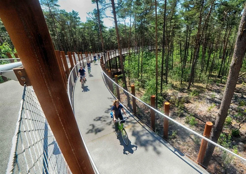 Carril bici elevat sobre pilots helicoïdals a través d'un bosc, Limburg, Bèlgica