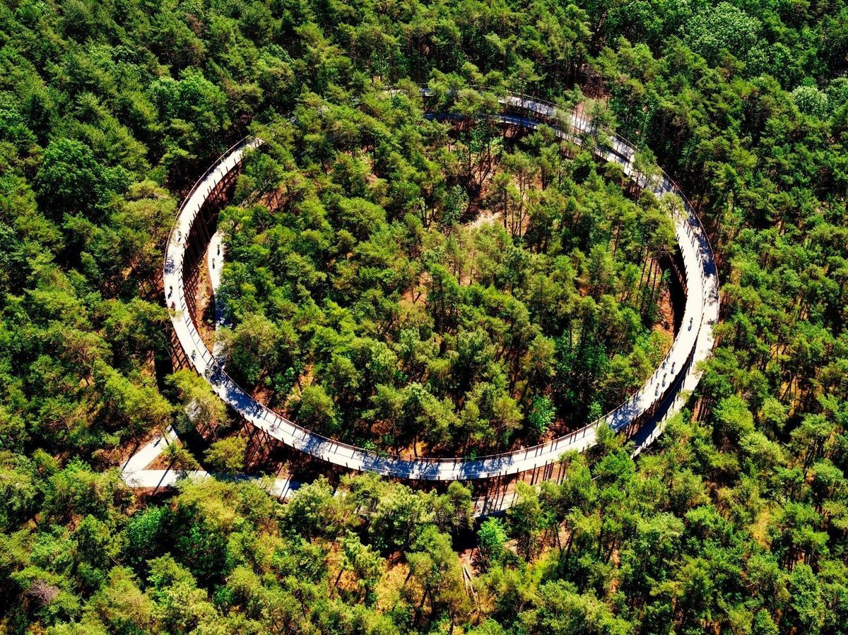 Fonamentació amb pilot helicoïdal i estructura de fusta